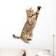Portrait Frisky Playful Cat Wall Decal