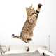 Portrait Frisky Playful Cat Wall Decal