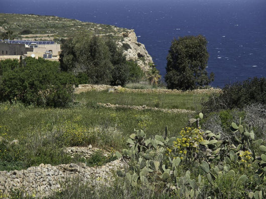 gozo Wall Mural