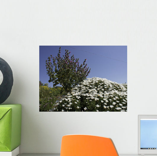 gozo Wall Mural