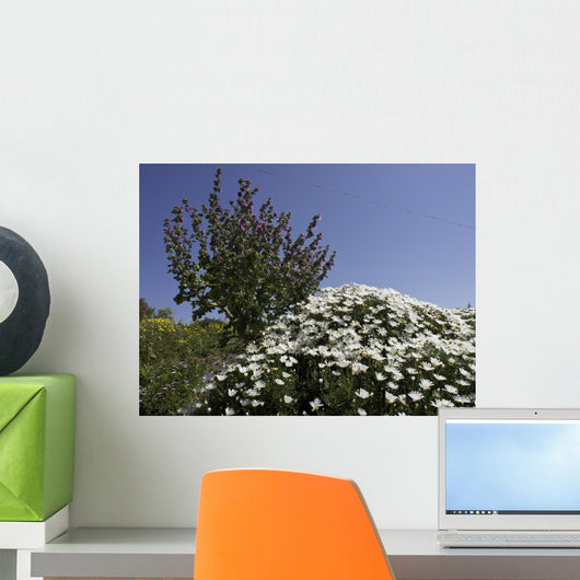 gozo Wall Mural