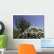 gozo Wall Mural