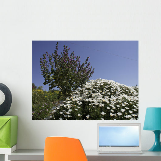 gozo Wall Mural