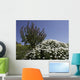 gozo Wall Mural