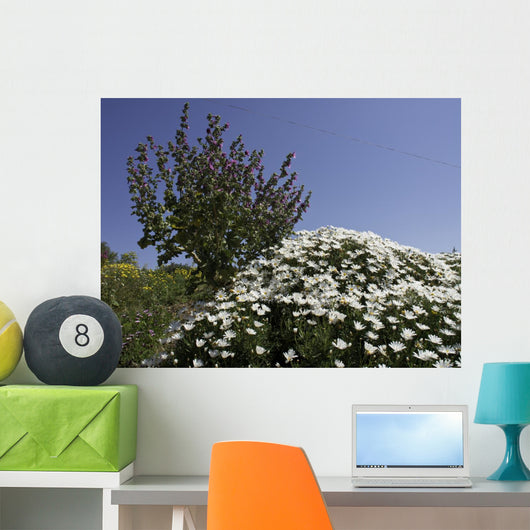 gozo Wall Mural