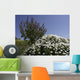 gozo Wall Mural