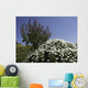 gozo Wall Mural