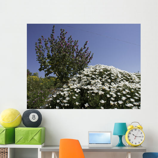gozo Wall Mural