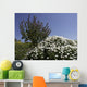 gozo Wall Mural