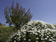 gozo Wall Mural