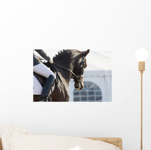 Dressage Horses Wall Decal