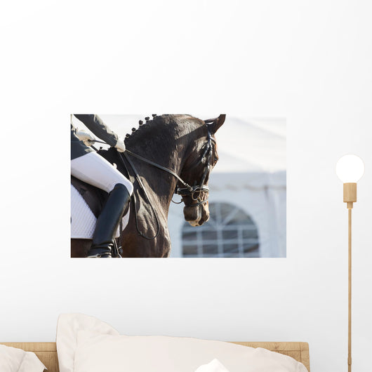 Dressage Horses Wall Decal
