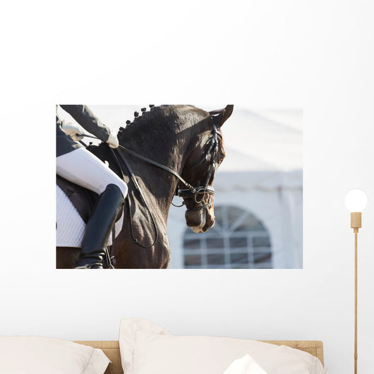Dressage Horses Wall Decal