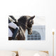 Dressage Horses Wall Decal