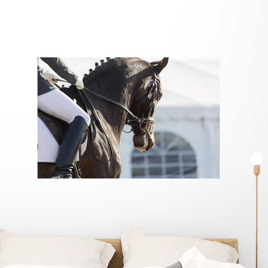 Dressage Horses Wall Decal
