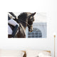 Dressage Horses Wall Decal