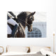 Dressage Horses Wall Decal