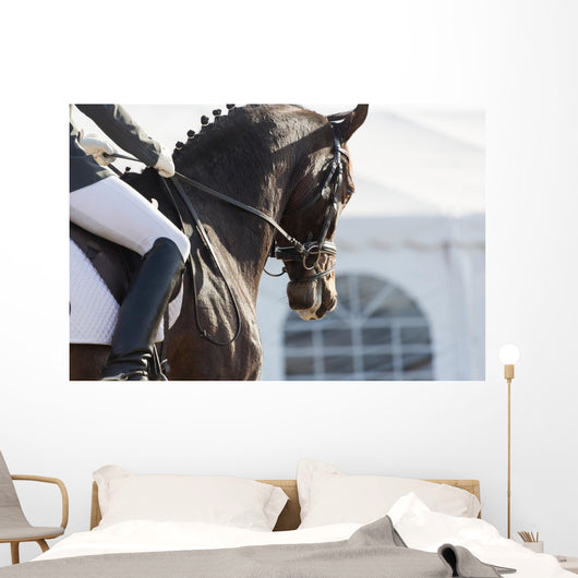Dressage Horses Wall Decal