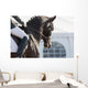 Dressage Horses Wall Decal