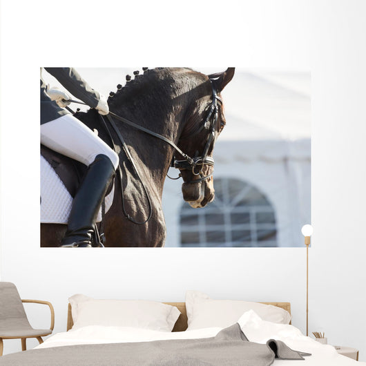 Dressage Horses Wall Decal