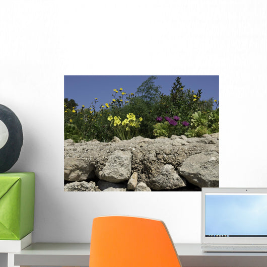 gozo Wall Mural
