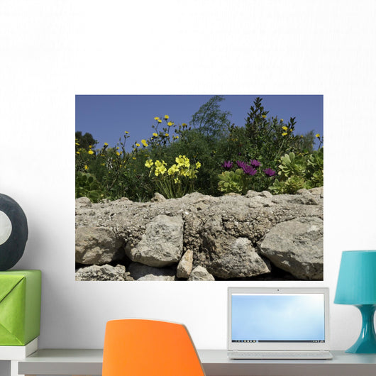 gozo Wall Mural