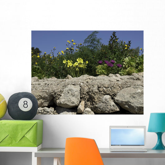 gozo Wall Mural