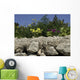 gozo Wall Mural