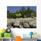 gozo Wall Mural