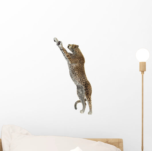 Cheetah Wall Decal Design 2