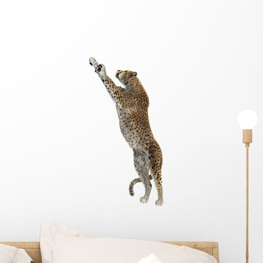 Cheetah Wall Decal Design 2