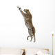 Cheetah Wall Decal Design 2