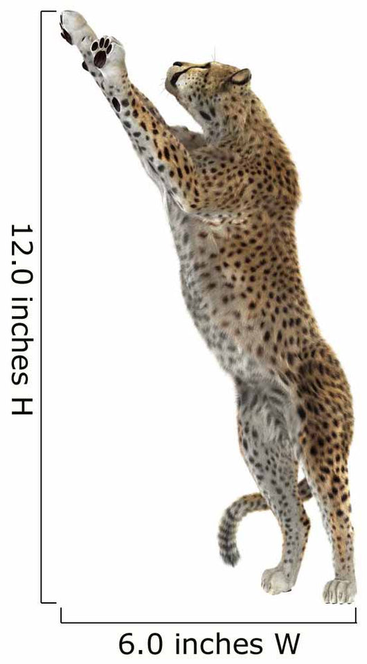 Cheetah Wall Decal Design 2