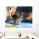 Little Homeless Kitten Hands Wall Decal