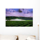 Tea Plantation Landscape Wall Decal