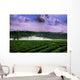 Tea Plantation Landscape Wall Decal