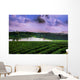 Tea Plantation Landscape Wall Decal