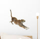 Cheetah Wall Decal Design 1