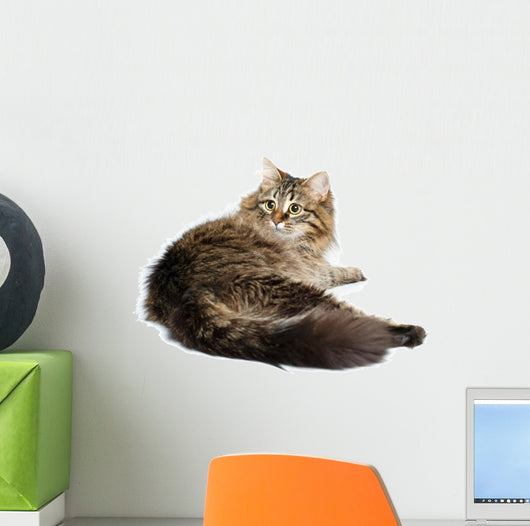 Cute Fluffy Cat White Wall Decal