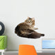 Cute Fluffy Cat White Wall Decal