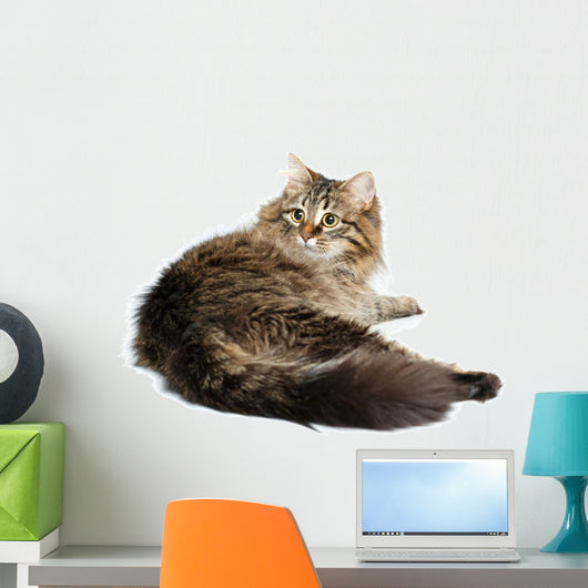Cute Fluffy Cat White Wall Decal