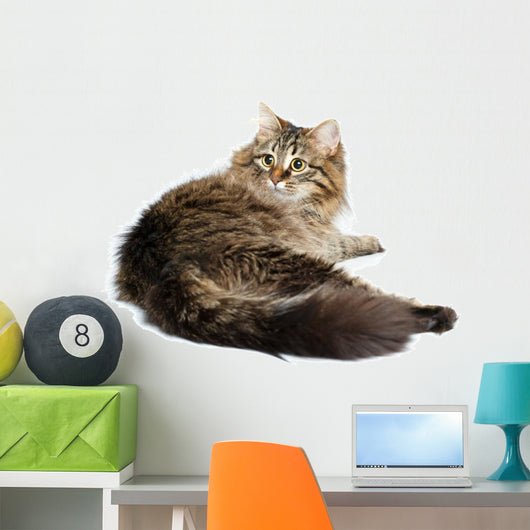 Cute Fluffy Cat White Wall Decal