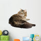 Cute Fluffy Cat White Wall Decal