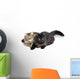 Two Cute Fluffy Cats Wall Decal Design 2