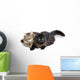 Two Cute Fluffy Cats Wall Decal Design 2