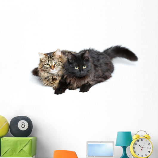 Two Cute Fluffy Cats Wall Decal Design 2