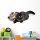 Two Cute Fluffy Cats Wall Decal Design 2