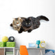 Two Cute Fluffy Cats Wall Decal Design 2
