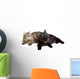 Two Cute Fluffy Cats Wall Decal Design 1