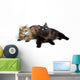 Two Cute Fluffy Cats Wall Decal Design 1